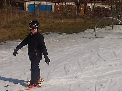 Obrázek 80741 