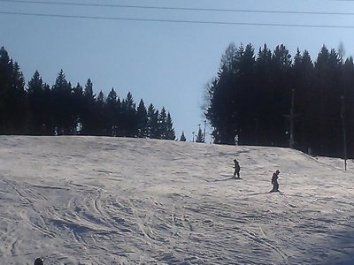 Obrázek 80758 