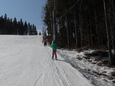 Obrázek 80793 