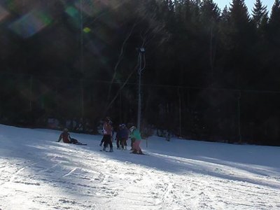 Obrázek 80804 