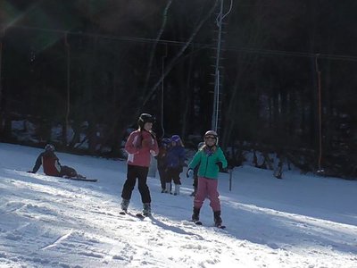 Obrázek 80806 