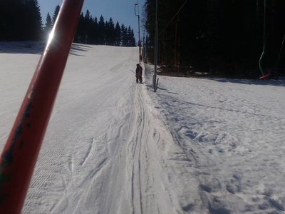Obrázek 80616 