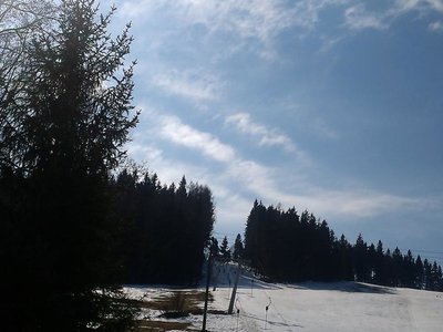 Obrázek 80621 