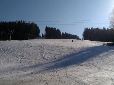Obrázek 80500 