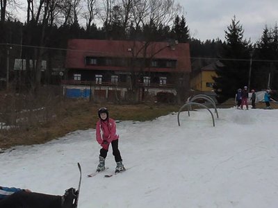 Obrázek 80131 