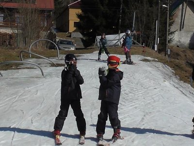 Obrázek 80229 