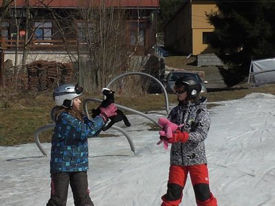 Obrázek 80234 