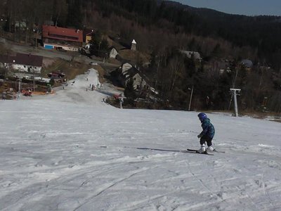 Obrázek 80238 