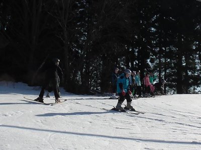 Obrázek 80273 