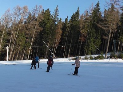 Obrázek 80287 