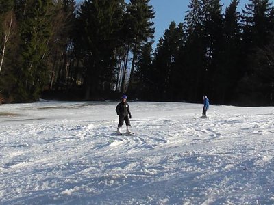 Obrázek 80290 