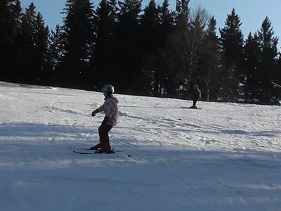 Obrázek 80302 
