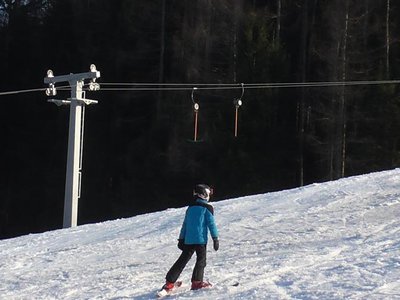 Obrázek 80308 