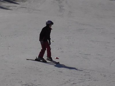 Obrázek 80373 