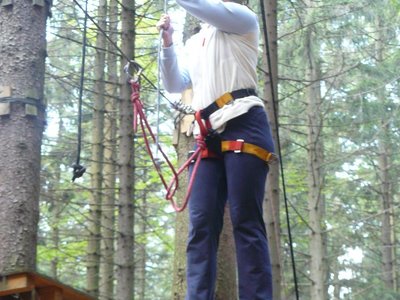 Obrázek 117262 