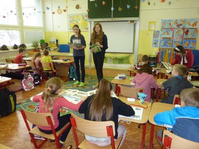 Obrázek 79903 