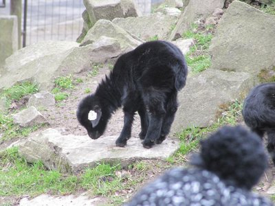 Obrázek 79707 