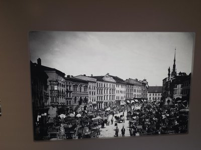 Obrázek 78818 