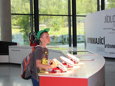 Obrázek 77995 