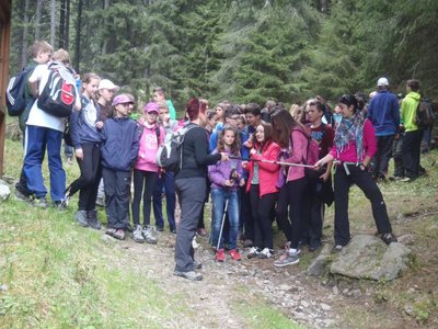 Obrázek 77902 