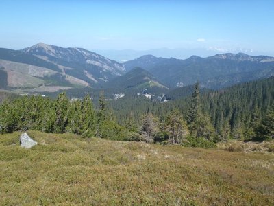Obrázek 77922 
