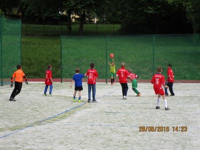 Obrázek 77732 