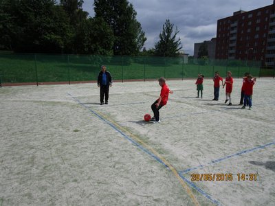 Obrázek 77739 