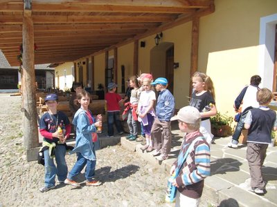 Obrázek 115815 