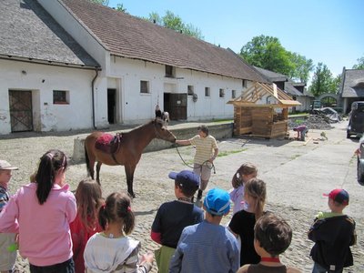 Obrázek 115822 