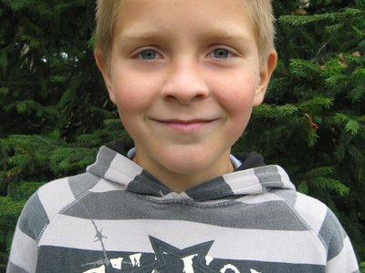 Obrázek 118402 