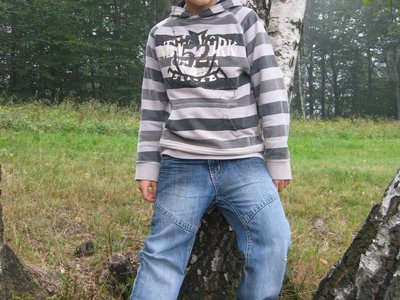 Obrázek 118403 