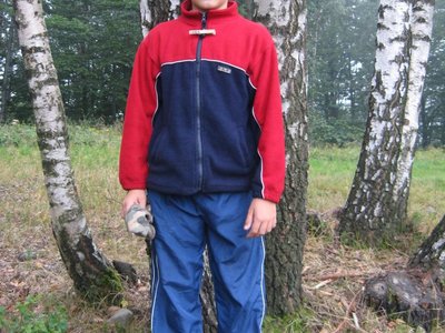 Obrázek 118411 