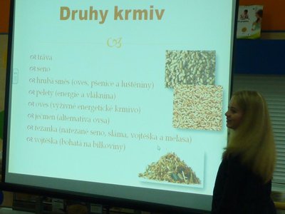 Obrázek 76451 