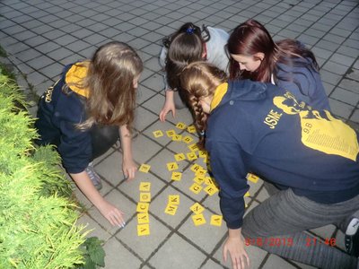 Obrázek 76552 