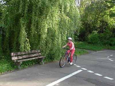 Obrázek 78197 