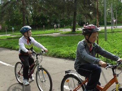 Obrázek 78356 