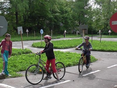 Obrázek 78381 