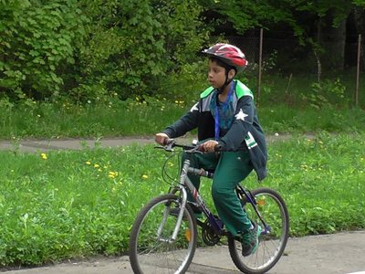 Obrázek 78409 