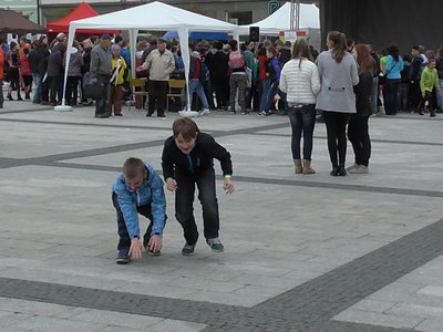 Obrázek 79199 