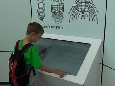 Obrázek 76353 