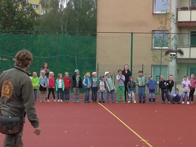 Obrázek 75549 
