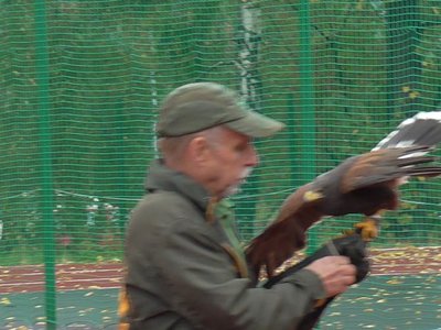 Obrázek 75557 