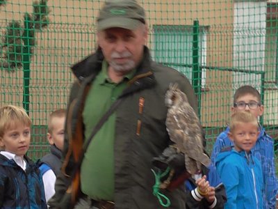 Obrázek 75564 
