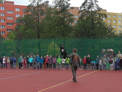 Obrázek 75571 