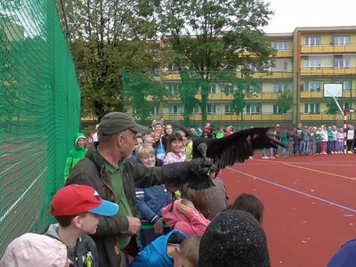Obrázek 75572 