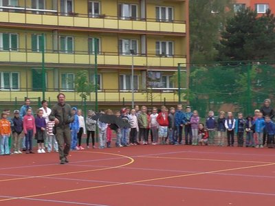 Obrázek 75576 