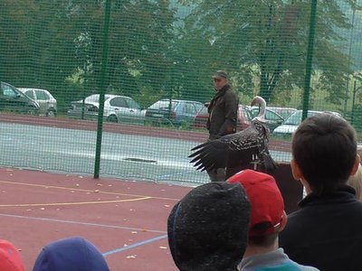 Obrázek 75579 