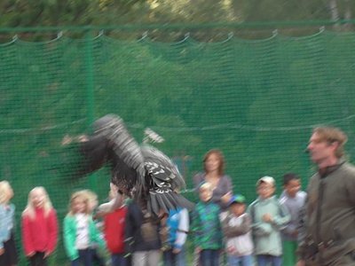 Obrázek 75584 