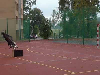 Obrázek 75586 
