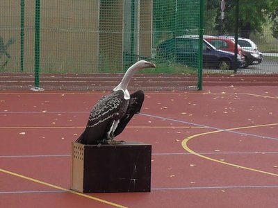 Obrázek 75587 